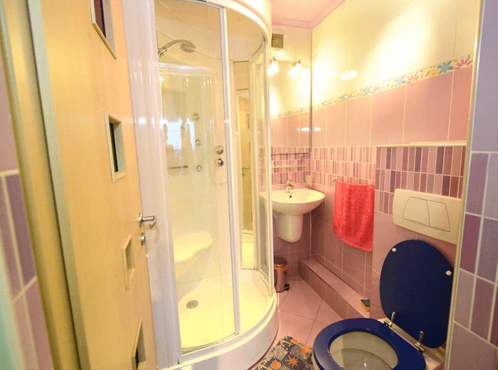 Apartament in regim hotelier Timisoara cu jacuzzi si sauna (ap.2)